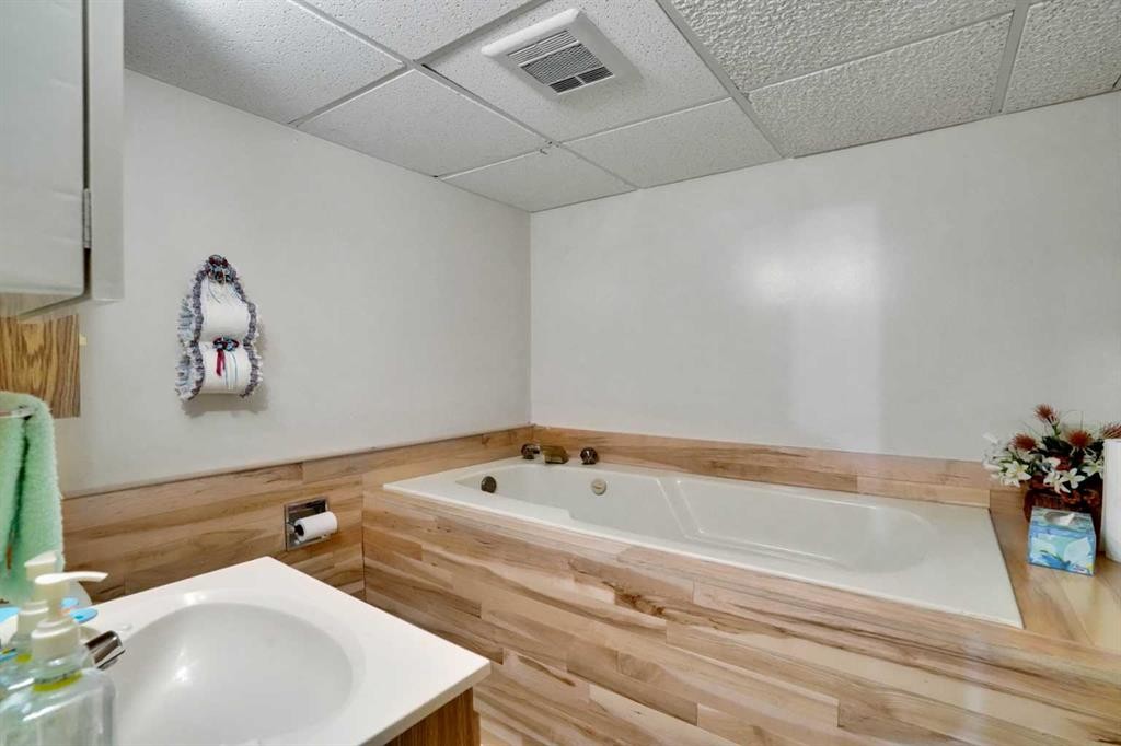 13 Falworth Way Ne, Calgary, AB - Indoor Photo Showing Bathroom