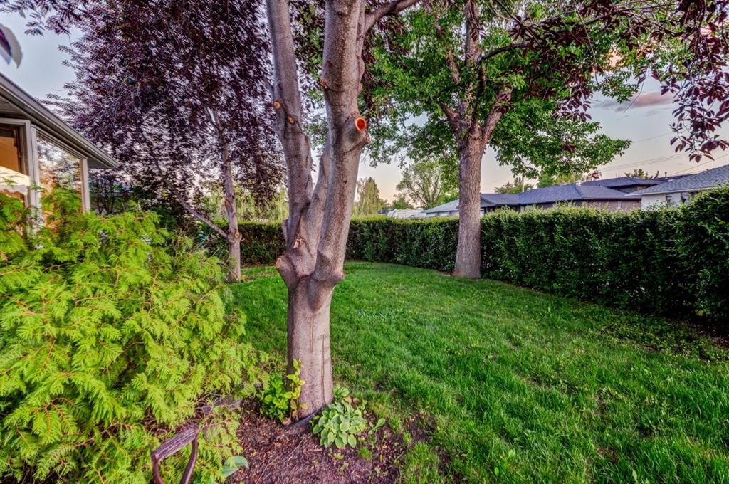 6016 Thornburn Drive Nw, Calgary, AB - Outdoor