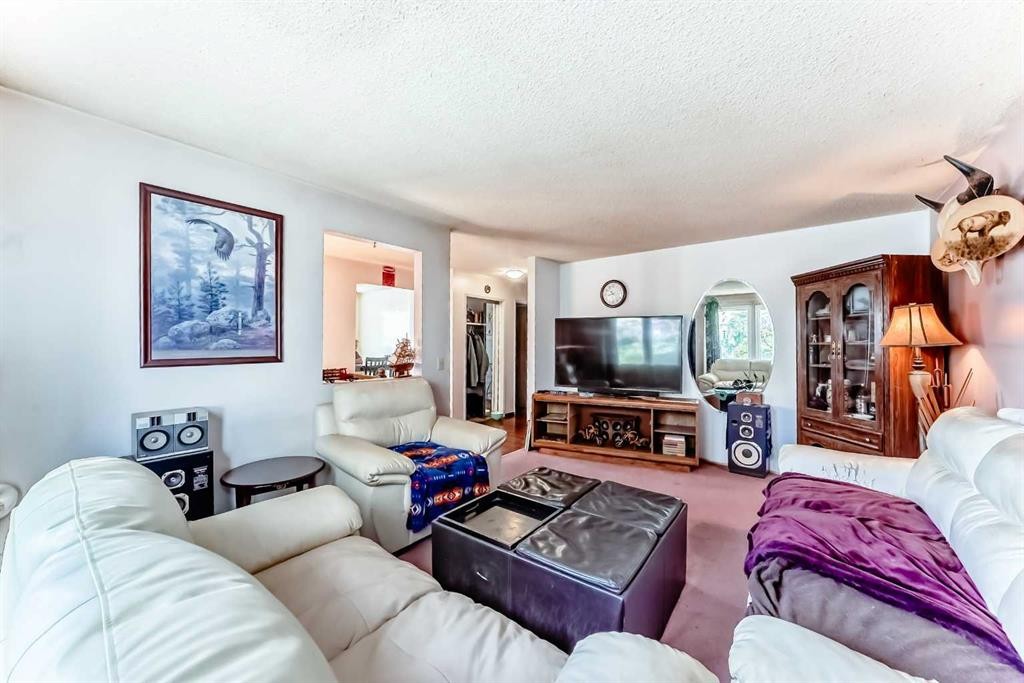 52 Castlebrook Rise Ne, Calgary, AB - Indoor Photo Showing Living Room