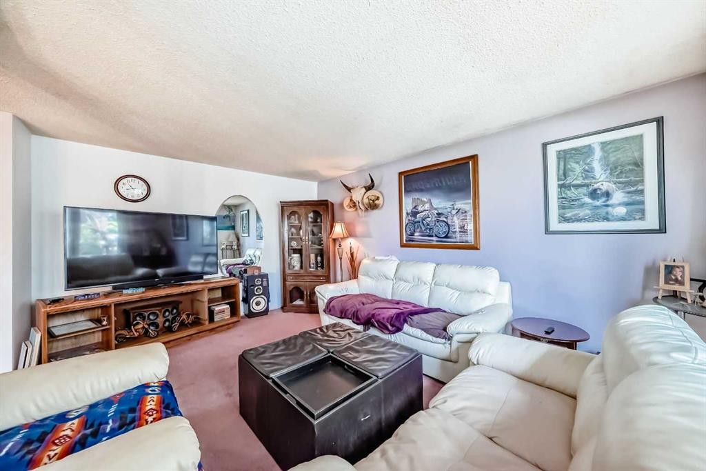 52 Castlebrook Rise Ne, Calgary, AB - Indoor Photo Showing Living Room