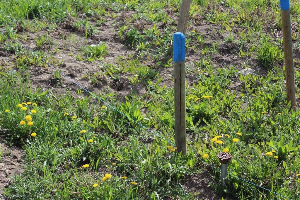 32079 Willow Way, Rural Rocky View County, AB