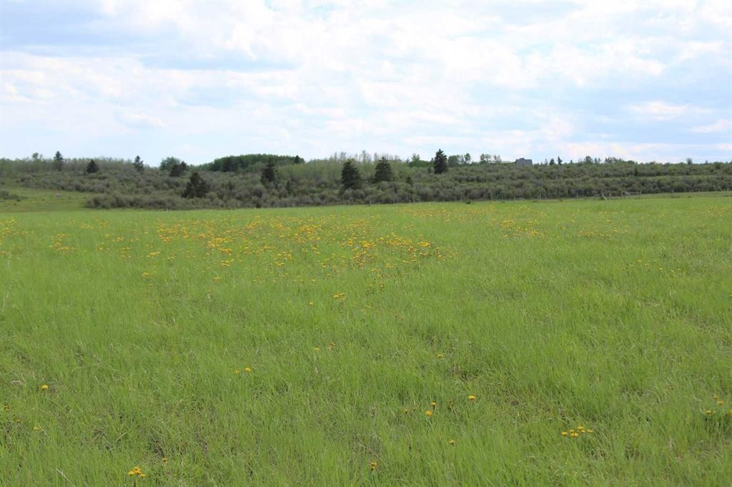 32079 Willow Way, Rural Rocky View County, AB