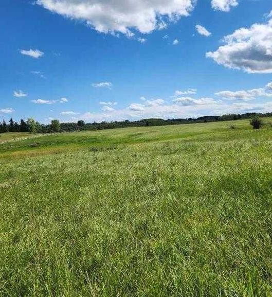 32079 Willow Way, Rural Rocky View County, AB