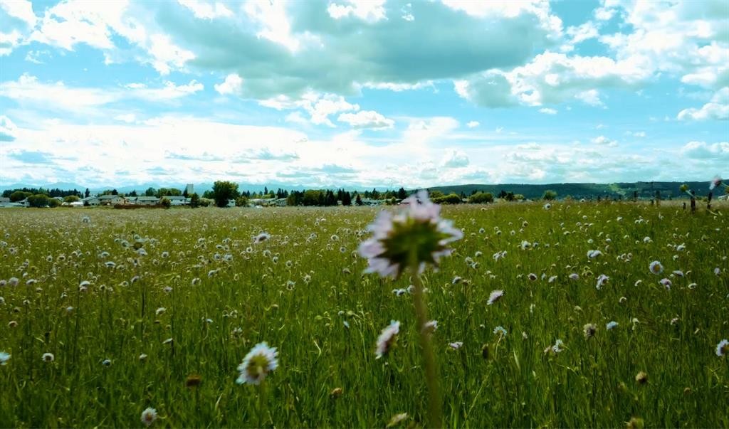 4 Avenue Se, Diamond Valley, AB