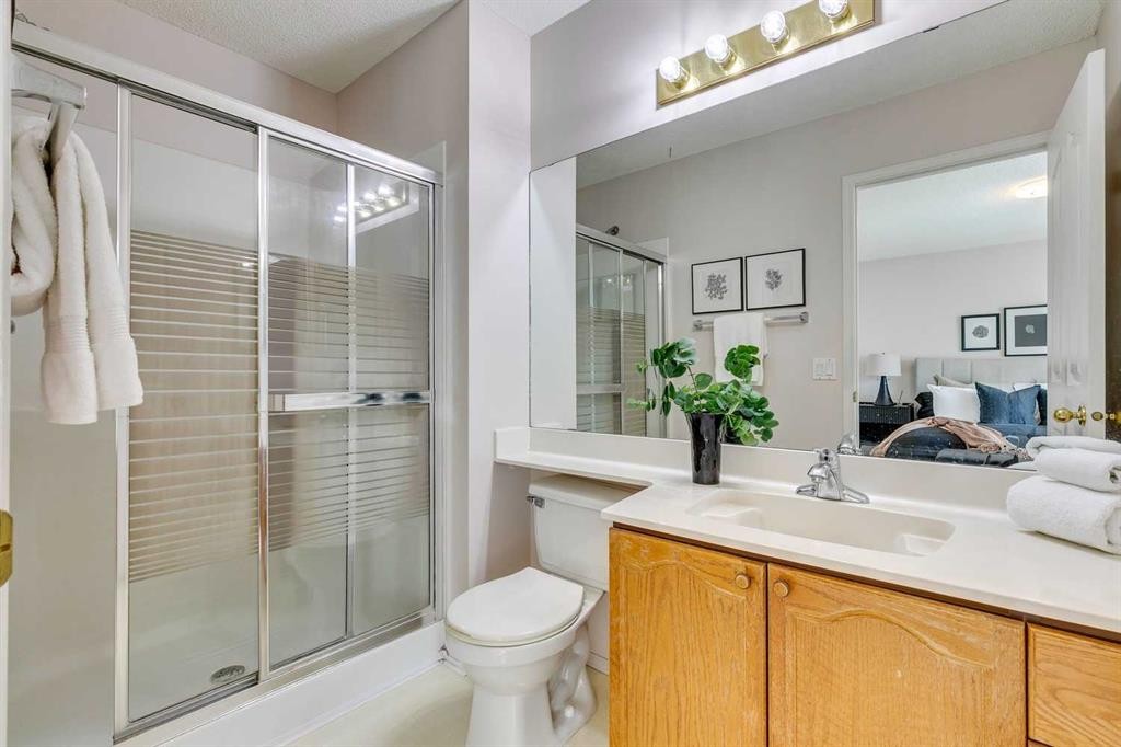 33 Shawnee View Sw, Calgary, AB - Indoor Photo Showing Bathroom