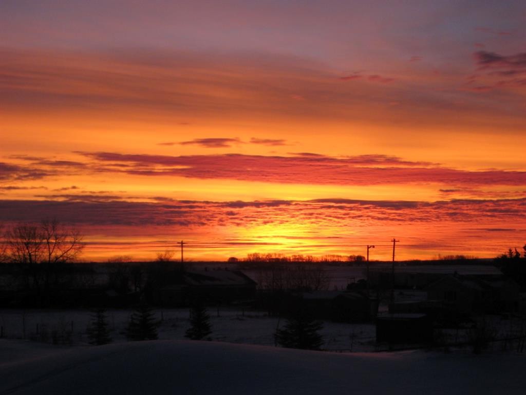 319 Muirfield Crescent, Lyalta, AB