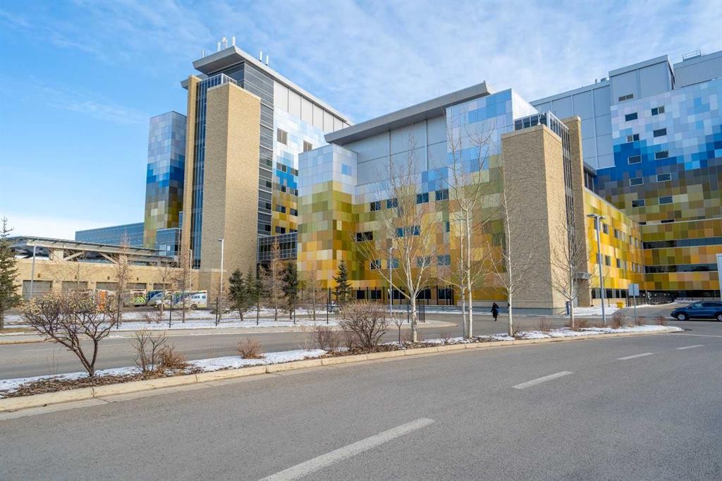 217 Seton Grove Se, Calgary, AB - Outdoor