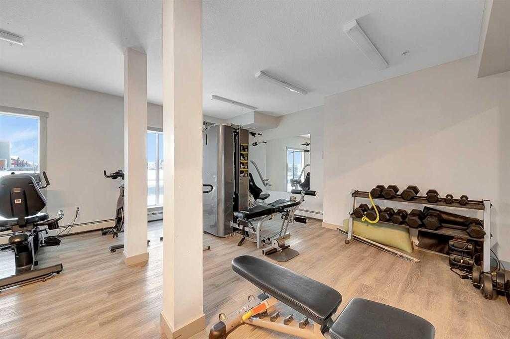 1609-4641 128 Avenue Ne, Calgary, AB - Indoor Photo Showing Gym Room