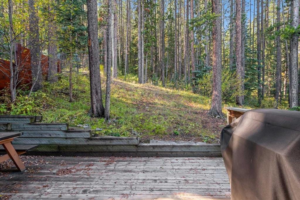 1073 Wilson Way, Canmore, AB - Outdoor With View