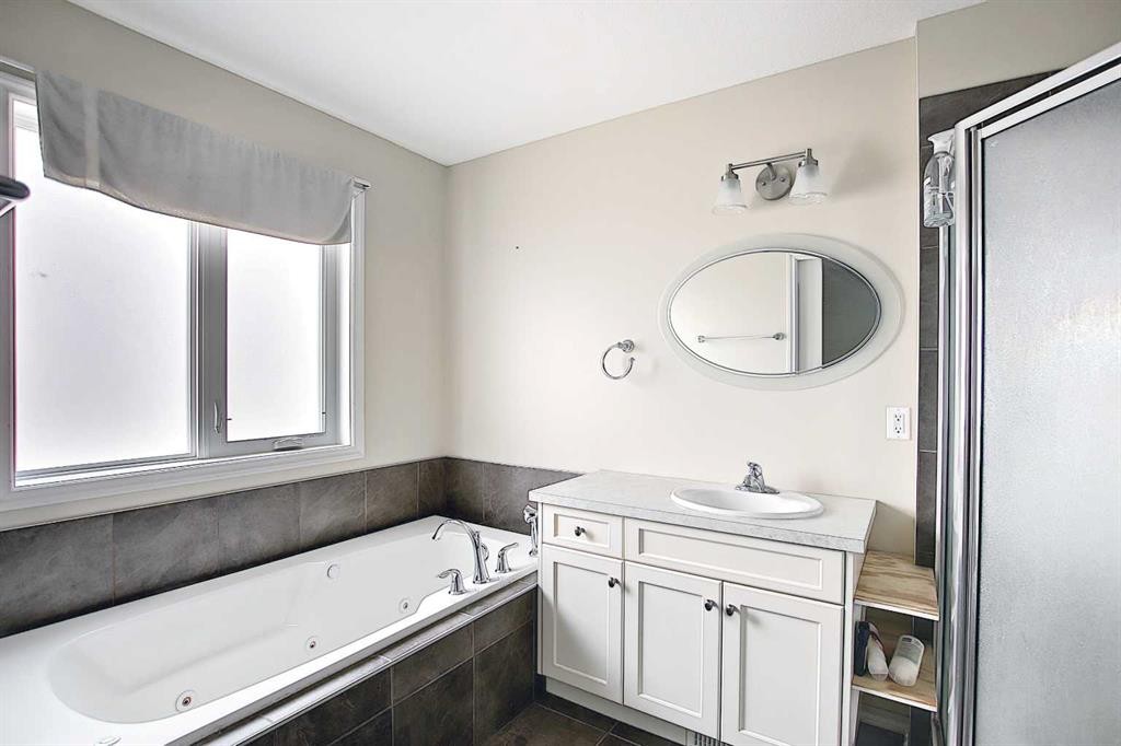 255046 Township Road 250, Rural Wheatland County, AB - Indoor Photo Showing Bathroom