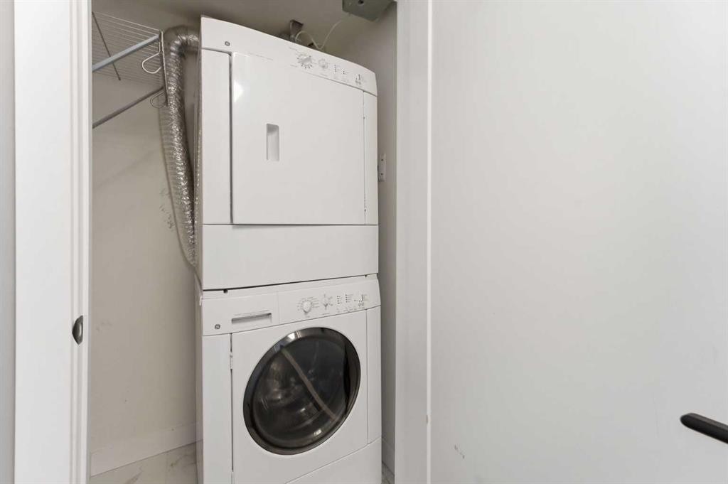 209-2702 17 Avenue Sw, Calgary, AB - Indoor Photo Showing Laundry Room