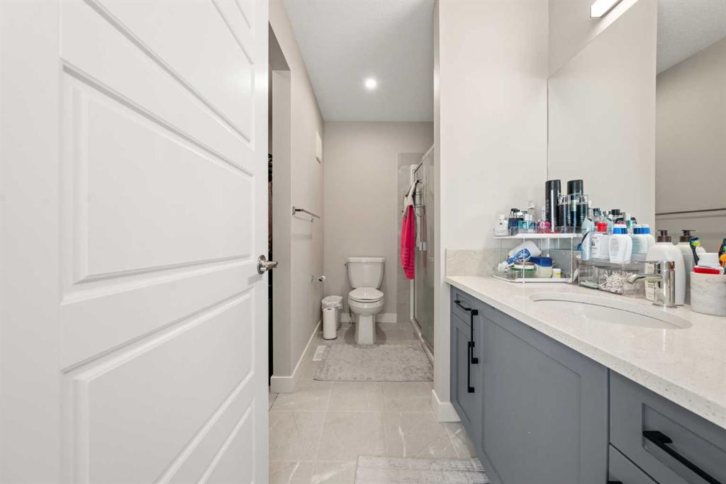 281 Waterford Boulevard, Chestermere, AB - Indoor Photo Showing Bathroom