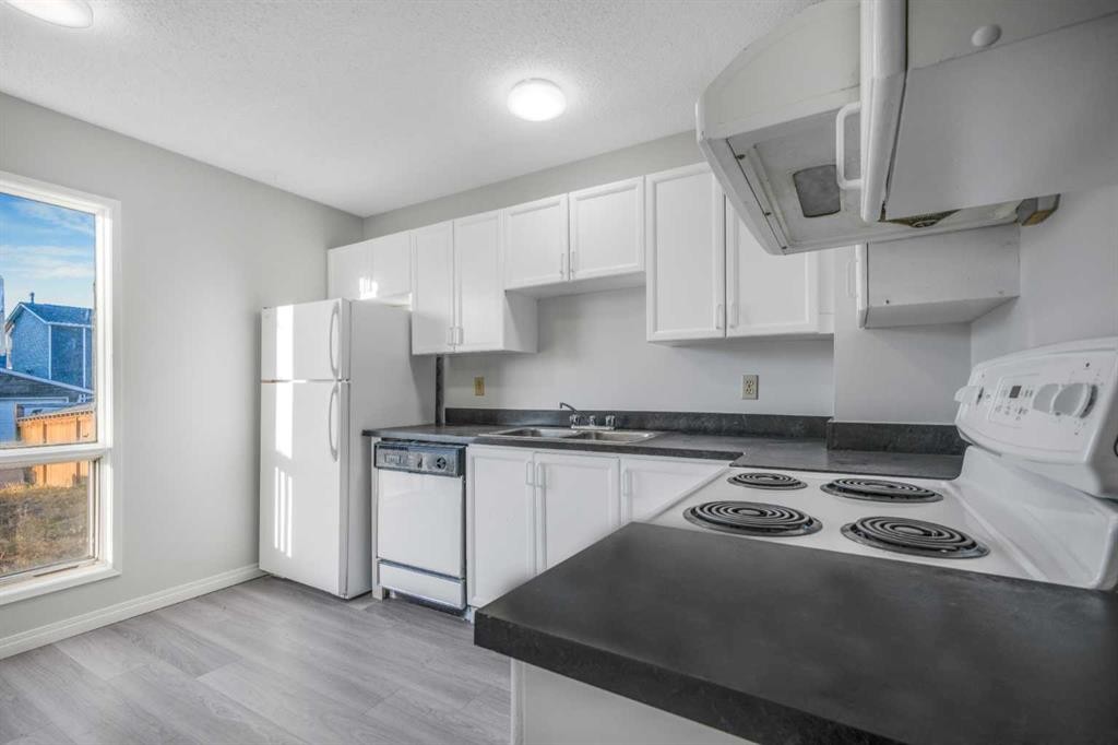 103 Taradale Drive Ne, Calgary, AB - Indoor Photo Showing Kitchen With Double Sink