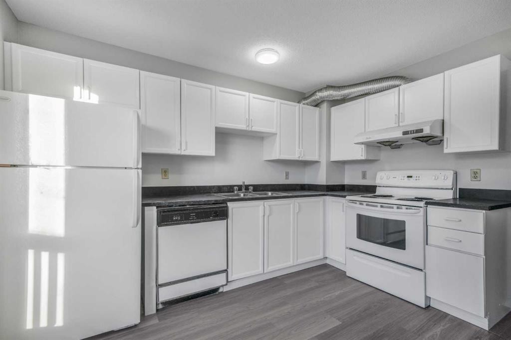 103 Taradale Drive Ne, Calgary, AB - Indoor Photo Showing Kitchen With Double Sink