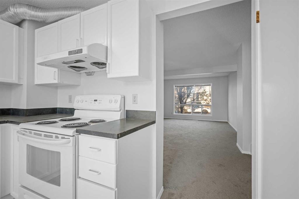 103 Taradale Drive Ne, Calgary, AB - Indoor Photo Showing Kitchen