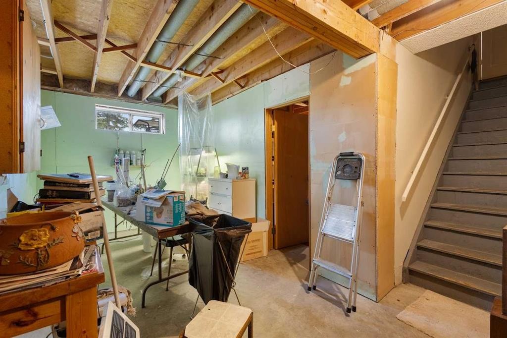 224 Douglas Woods Point Se, Calgary, AB - Indoor Photo Showing Basement