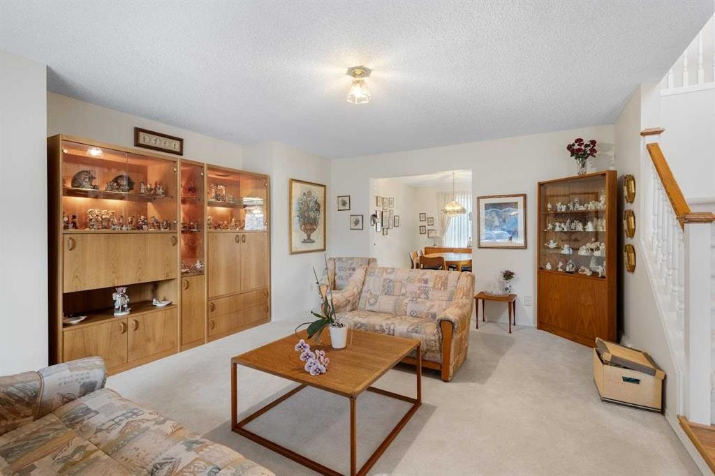 224 Douglas Woods Point Se, Calgary, AB - Indoor Photo Showing Living Room