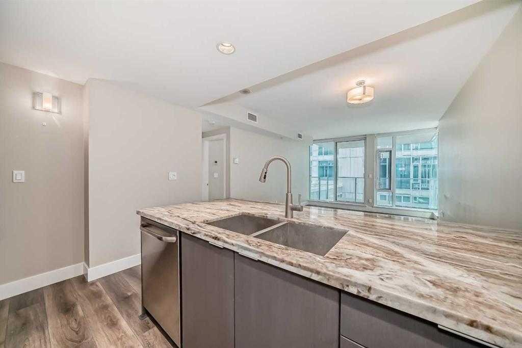 307-519 Riverfront Avenue Se, Calgary, AB - Indoor Photo Showing Kitchen With Double Sink