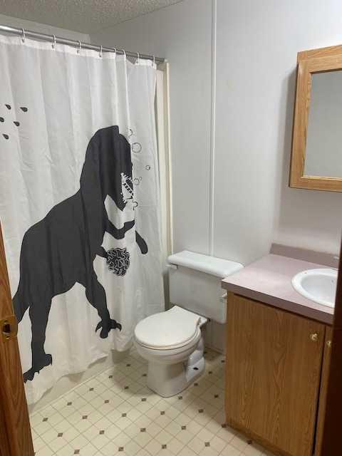 325 1 Street, Irricana, AB - Indoor Photo Showing Bathroom