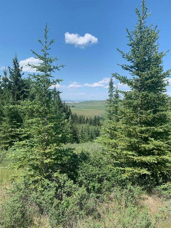 75.50 Acres North Springbank 5;3;25;28;Se, Rural Rocky View County, AB