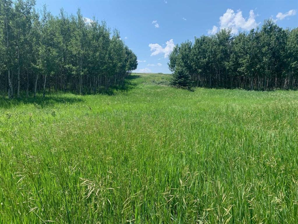 75.50 Acres North Springbank 5;3;25;28;Se, Rural Rocky View County, AB