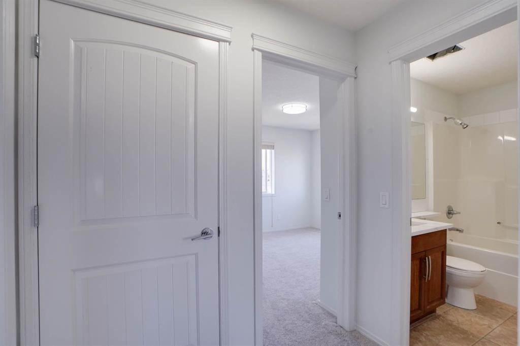 382 Brightonstone Green Se, Calgary, AB - Indoor Photo Showing Bathroom