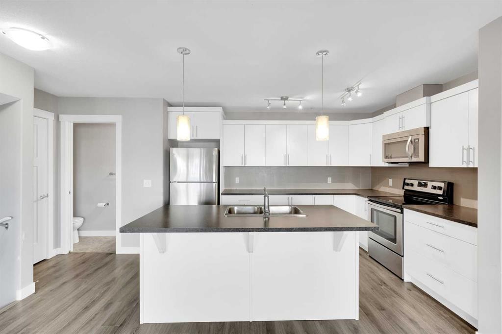 307 Skyview Ranch Grove Ne, Calgary, AB - Indoor Photo Showing Kitchen With Double Sink With Upgraded Kitchen
