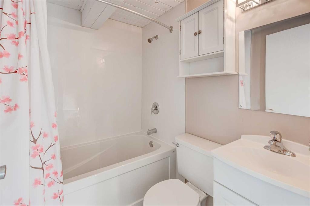 43 Midridge Gardens Se, Calgary, AB - Indoor Photo Showing Bathroom