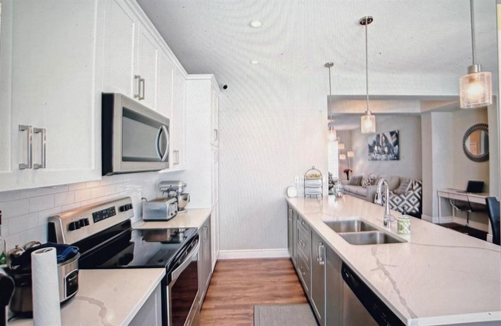 10077 46 Street Ne, Calgary, AB - Indoor Photo Showing Kitchen With Stainless Steel Kitchen With Double Sink With Upgraded Kitchen