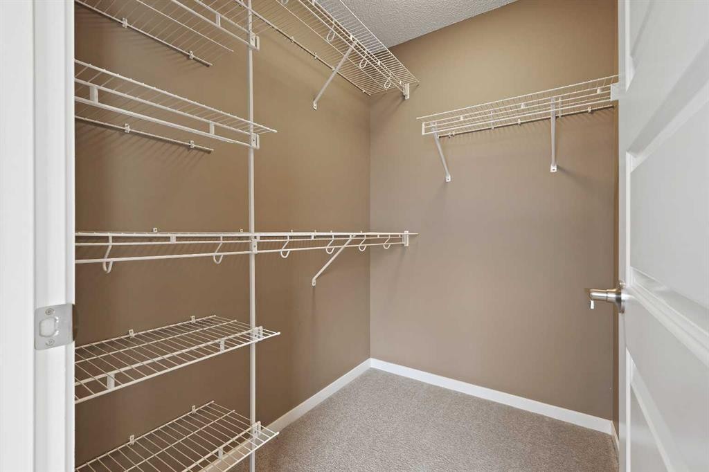 313 Auburn Bay Circle Se, Calgary, AB - Indoor With Storage