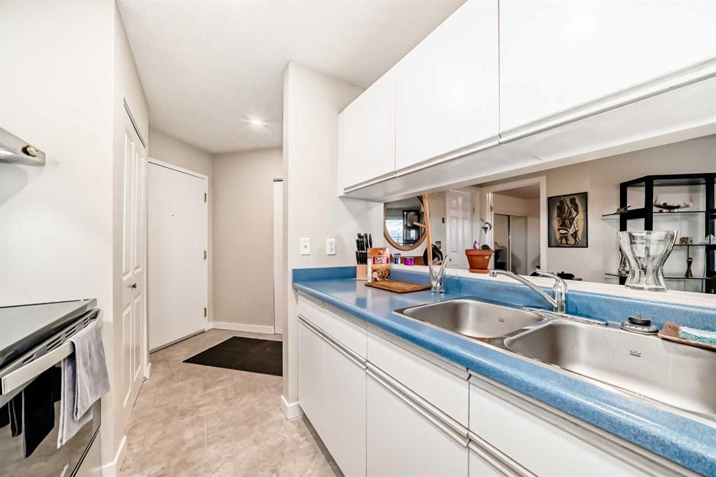 409-10 Dover Point Se, Calgary, AB - Indoor Photo Showing Kitchen With Double Sink