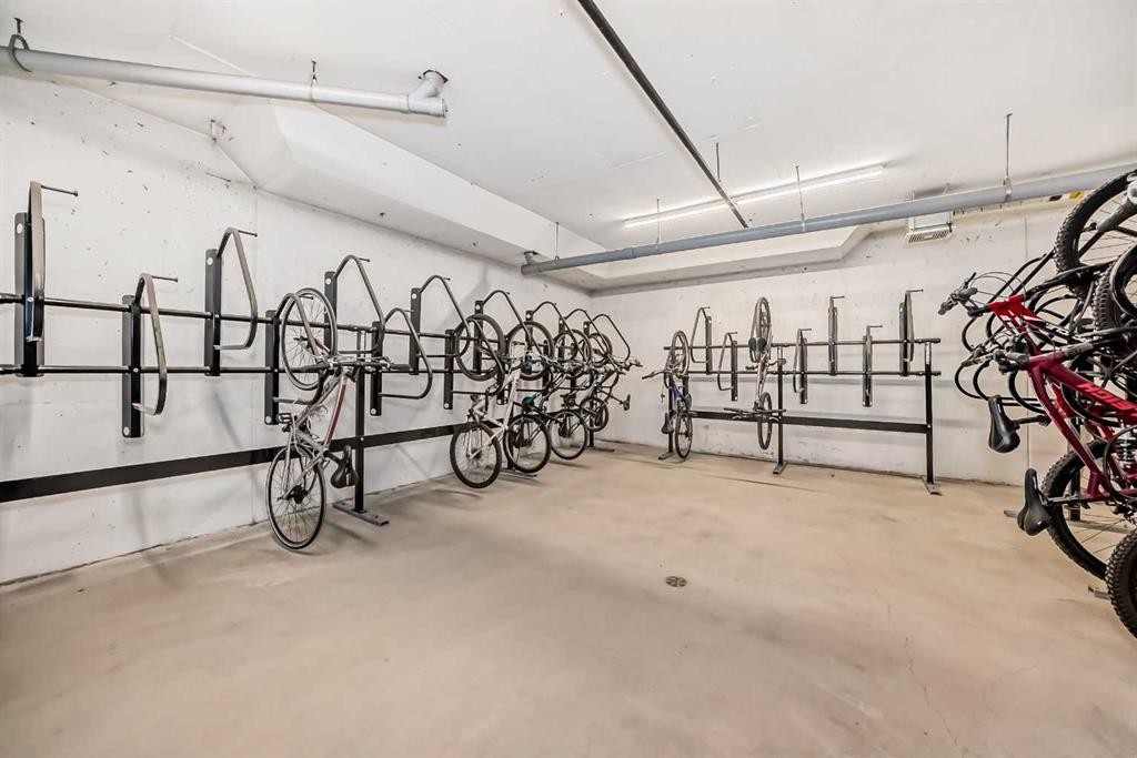 404-80 Carrington Plaza Nw, Calgary, AB - Indoor Photo Showing Garage