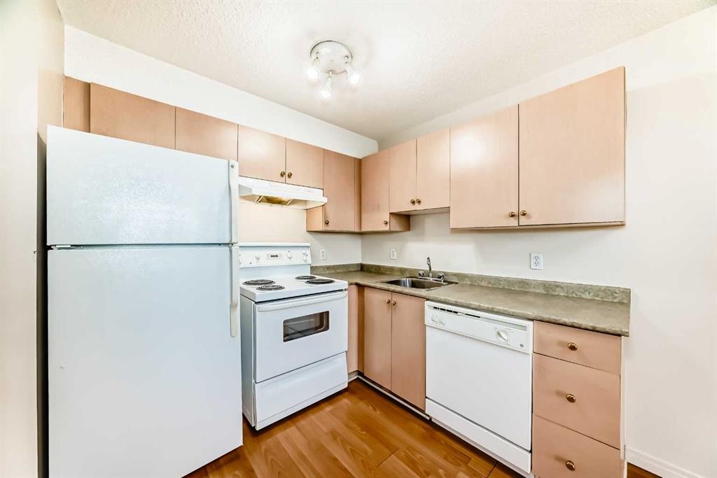 3103-1620 70 Street Se, Calgary, AB - Indoor Photo Showing Kitchen With Double Sink