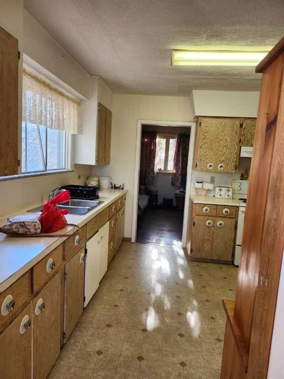 217 1 Street North, Lomond, AB - Indoor Photo Showing Kitchen With Double Sink