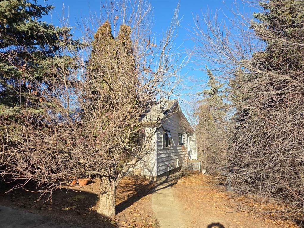 217 1 Street North, Lomond, AB - Outdoor With View