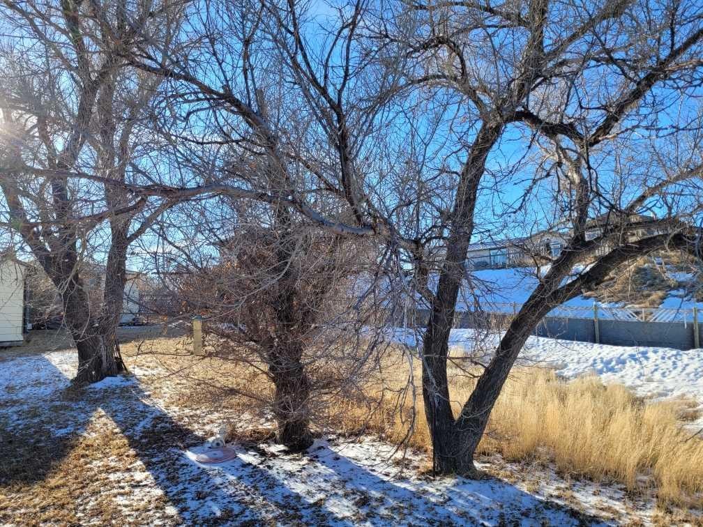 217 1 Street North, Lomond, AB - Outdoor With View