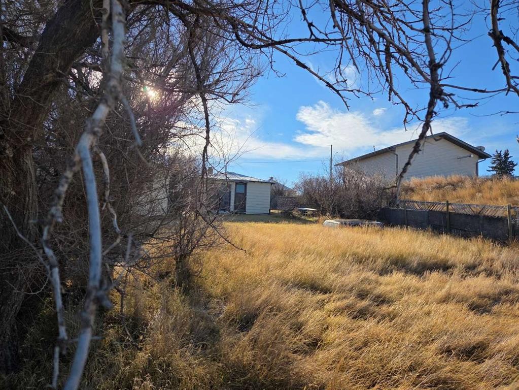 217 1 Street North, Lomond, AB - Outdoor With View