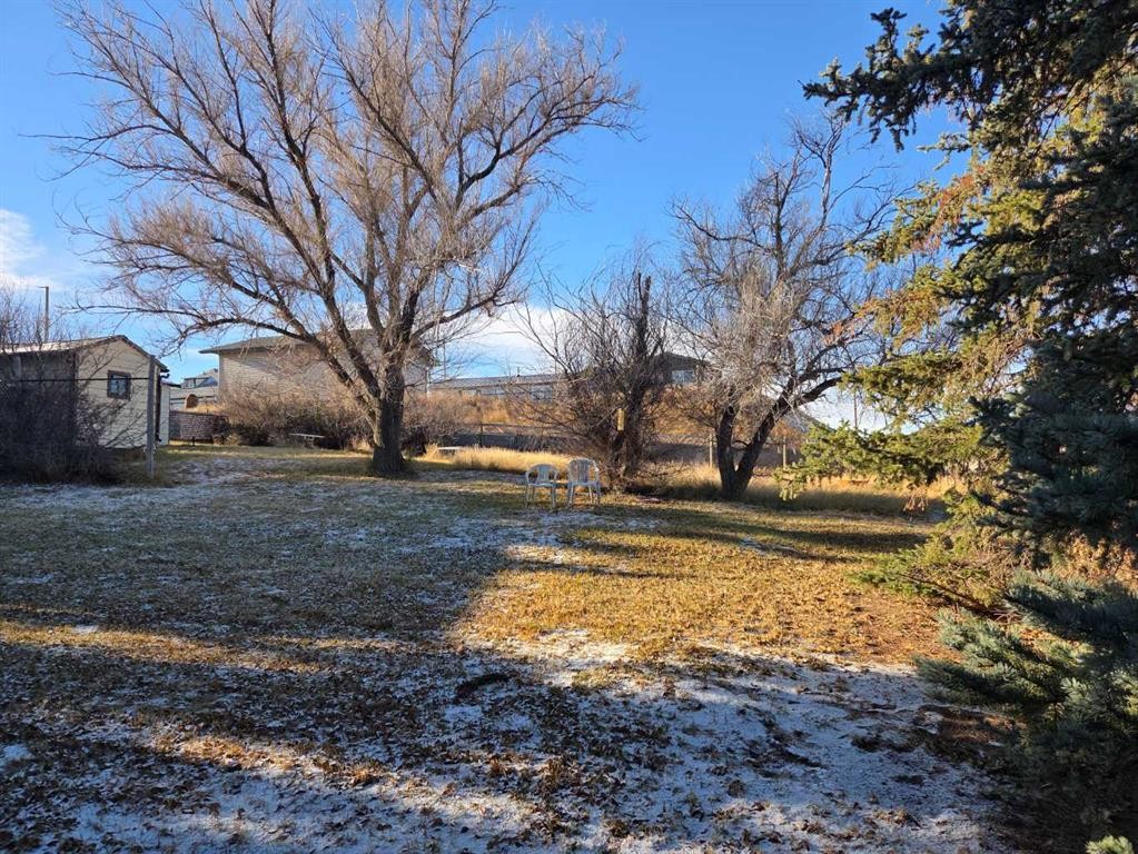 217 1 Street North, Lomond, AB - Outdoor With View