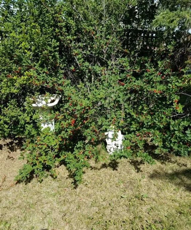 217 1 Street North, Lomond, AB - Outdoor