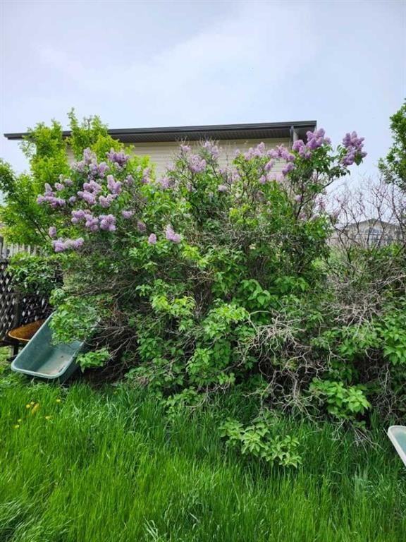 217 1 Street North, Lomond, AB - Outdoor