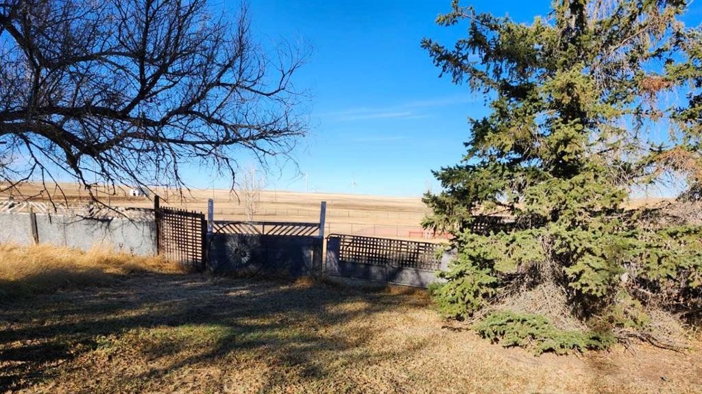 217 1 Street North, Lomond, AB - Outdoor With View