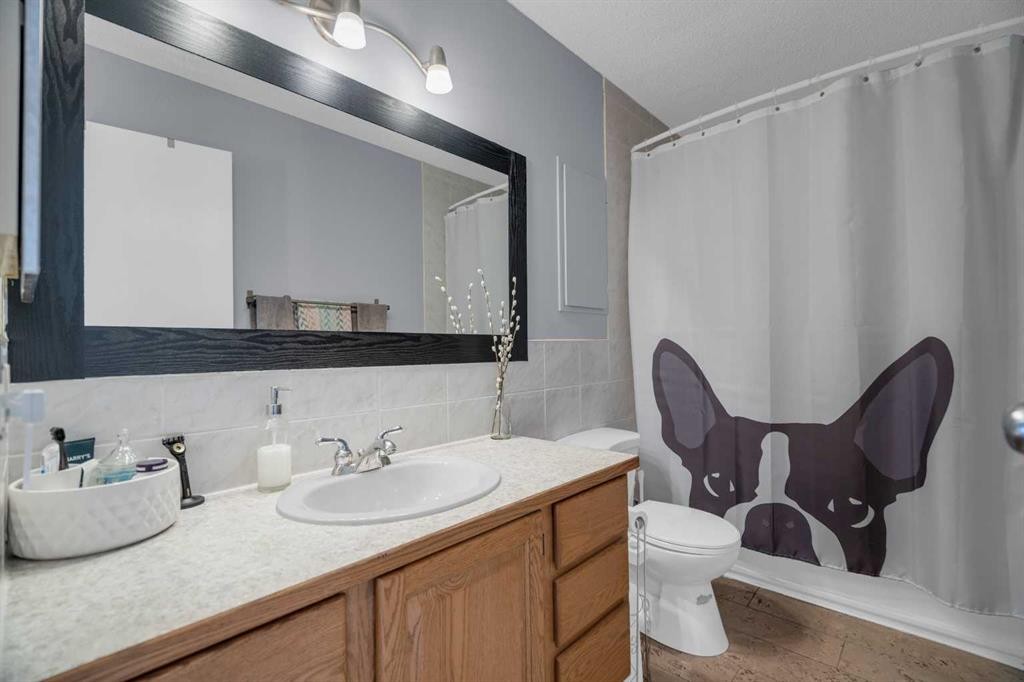 3 Booth Crescent, Irricana, AB - Indoor Photo Showing Bathroom