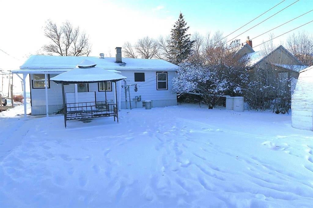 111 2 Avenue South, Morrin, AB - Outdoor