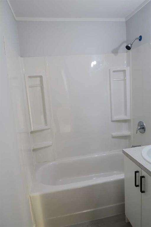 111 2 Avenue South, Morrin, AB - Indoor Photo Showing Bathroom