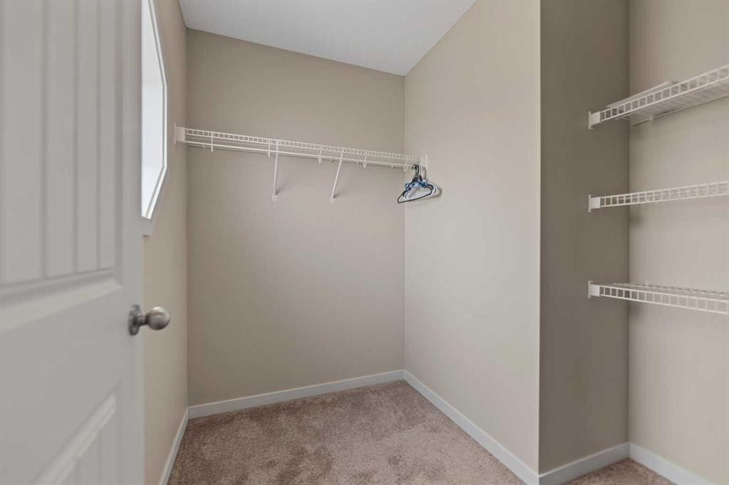 81 Copperpond Landing Se, Calgary, AB - Indoor With Storage