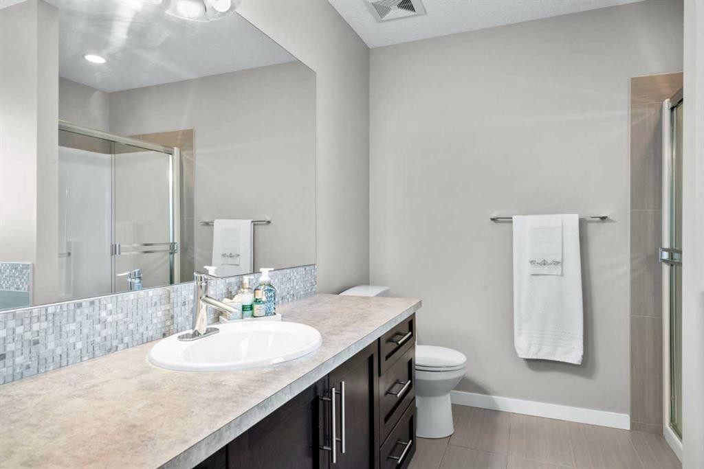 236 Walden Heights Se, Calgary, AB - Indoor Photo Showing Bathroom