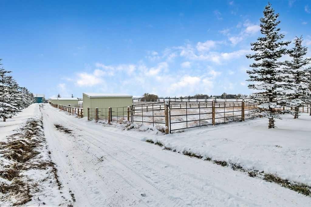 349035 Tamarack Drive East, Rural Foothills County, AB - Outdoor