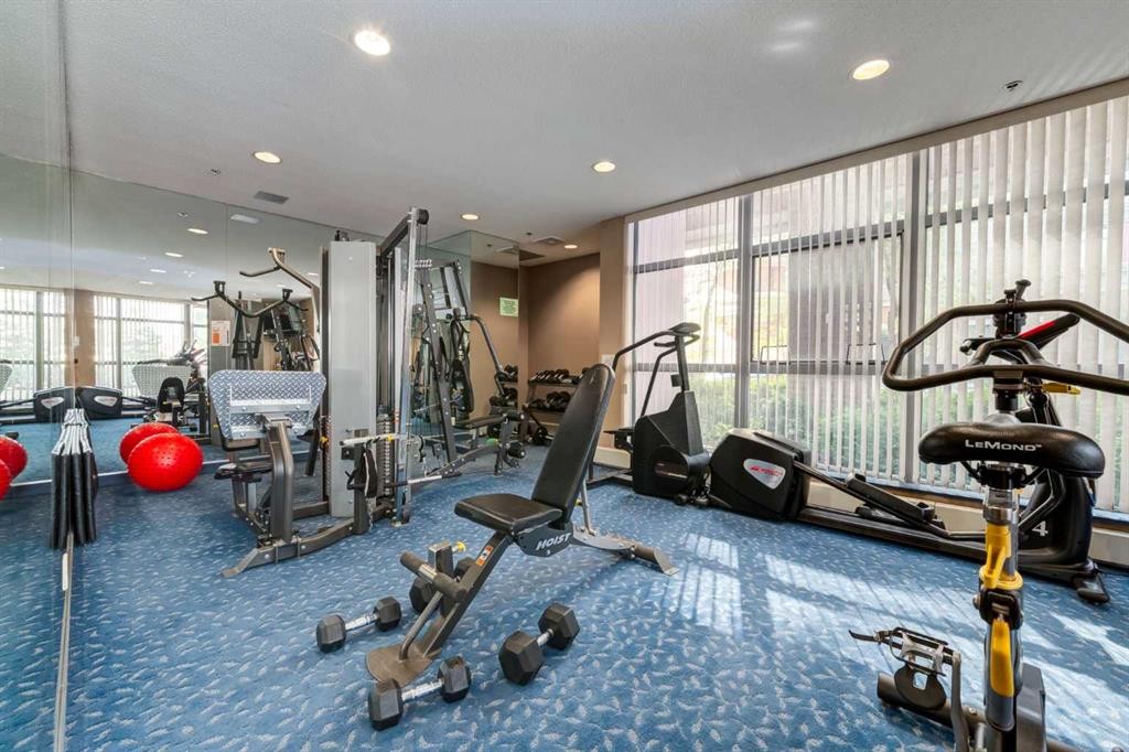 604-650 10 Street Sw, Calgary, AB - Indoor Photo Showing Gym Room