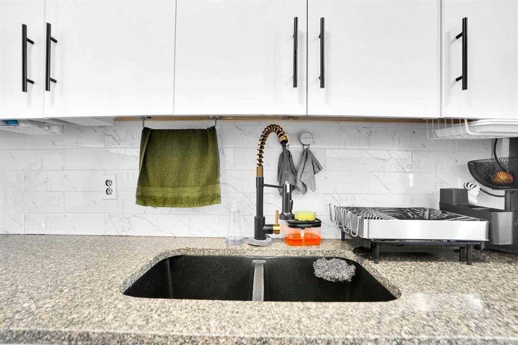 280 Whitworth Way Ne, Calgary, AB - Indoor Photo Showing Kitchen With Double Sink