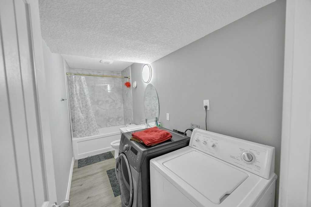 32 Martindale Boulevard Ne, Calgary, AB - Indoor Photo Showing Laundry Room